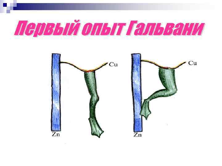 Первый опыт Гальвани 