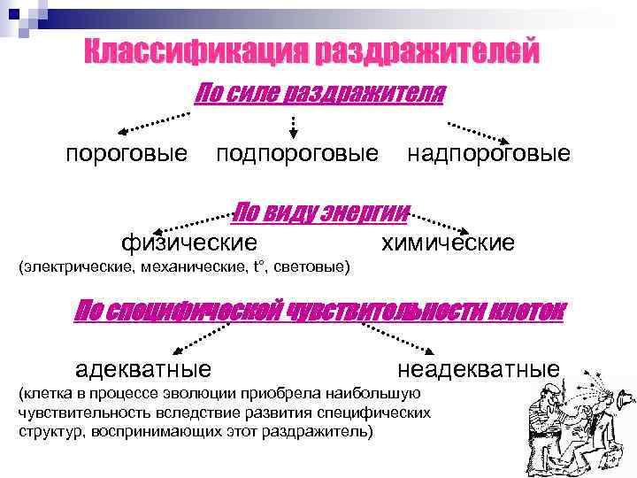 Характеристика силы раздражителя