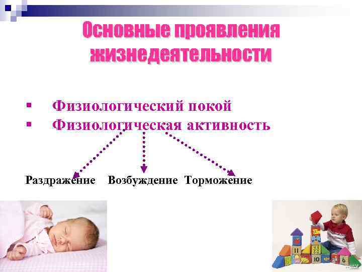 Основные проявления жизнедеятельности Физиологический покой Физиологическая активность Раздражение Возбуждение Торможение 