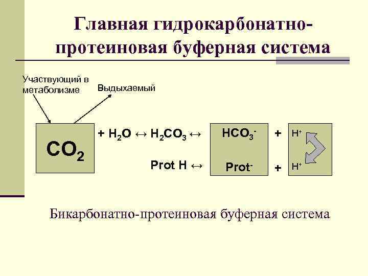 Главная гидрокарбонатнопротеиновая буферная система Участвующий в Выдыхаемый метаболизме СО 2 + Н 2 О