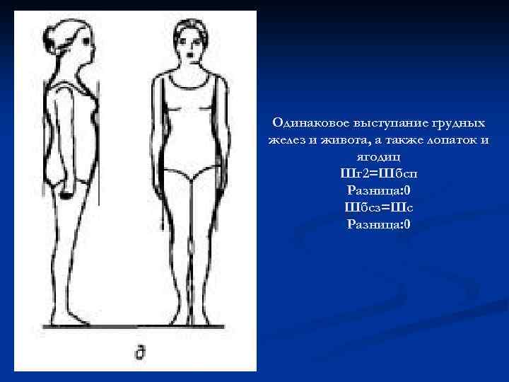 Одинаковое выступание грудных желез и живота, а также лопаток и ягодиц Шг 2=Шбсп Разница: