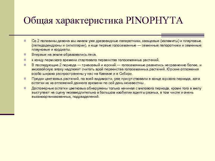 Общая характеристика PINOPHYTA n n n Со 2 половины девона мы имеем уже древовидные