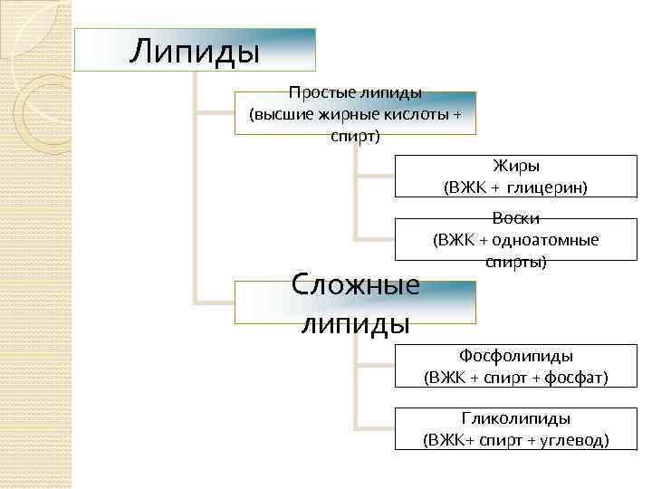 Липиды Простые липиды (высшие жирные кислоты + спирт) Жиры (ВЖК + глицерин) Сложные липиды