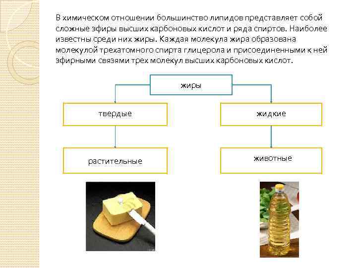 В химическом отношении большинство липидов представляет собой сложные эфиры высших карбоновых кислот и ряда