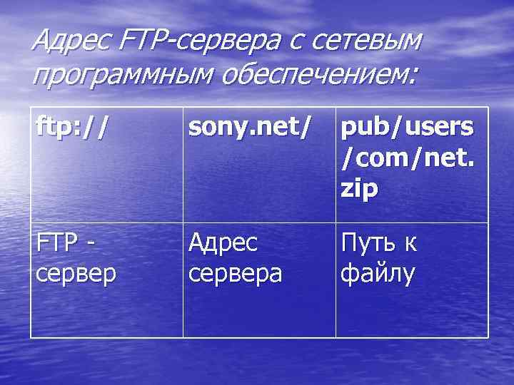 Адрес FTP-сервера с сетевым программным обеспечением: ftp: // sony. net/ pub/users /com/net. zip FTP