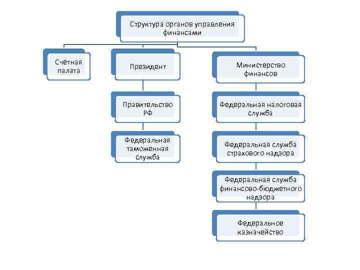 Структура федеральной налоговой службы