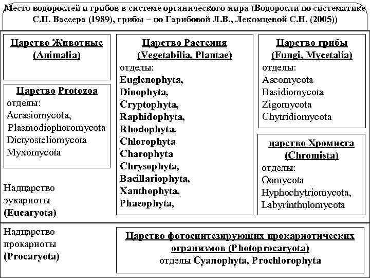 Систематику водорослей. Современная систематика водорослей. Систематическое положение водорослей. Систематика водорослей схема. Ламинария систематика.