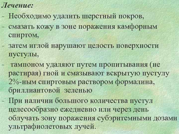 Лечение: Необходимо удалить шерстный покров, смазать кожу в зоне поражения камфорным спиртом, затем иглой