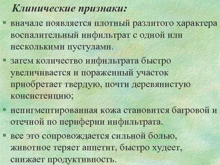 Клинические признаки: § вначале появляется плотный разлитого характера воспалительный инфильтрат с одной или несколькими