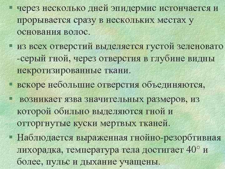 § через несколько дней эпидермис истончается и прорывается сразу в нескольких местах у основания