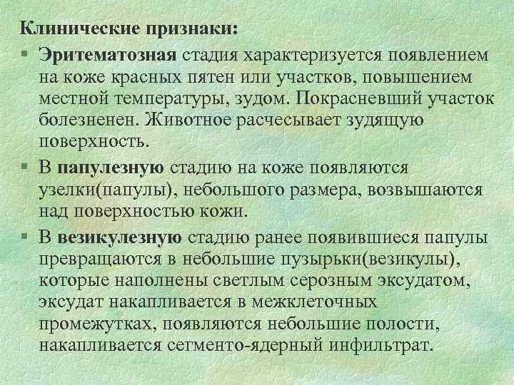 Клинические признаки: § Эритематозная стадия характеризуется появлением на коже красных пятен или участков, повышением