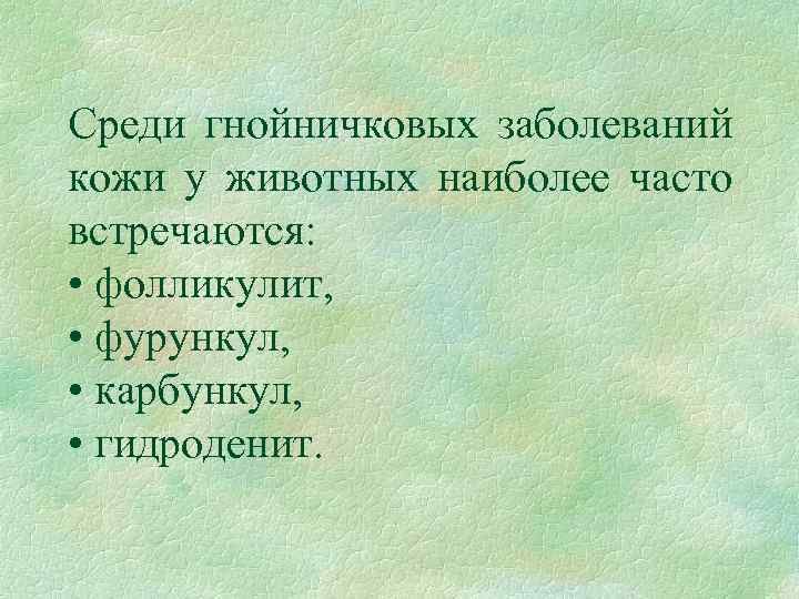 Среди гнойничковых заболеваний кожи у животных наиболее часто встречаются: • фолликулит, • фурункул, •