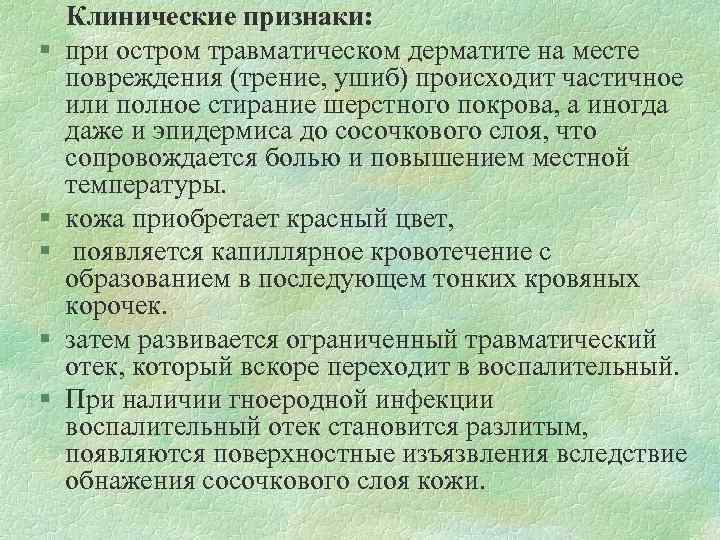  Клинические признаки: § при остром травматическом дерматите на месте повреждения (трение, ушиб) происходит