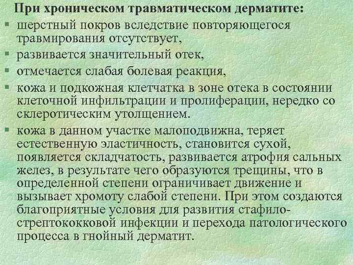  При хроническом травматическом дерматите: § шерстный покров вследствие повторяющегося травмирования отсутствует, § развивается