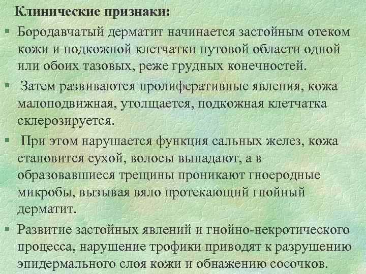 Клинические признаки: § Бородавчатый дерматит начинается застойным отеком кожи и подкожной клетчатки путовой области