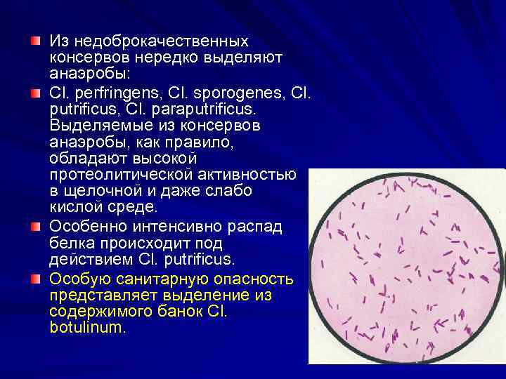 Часто выделяемый. Clostridium perfringens в консервах. Санитарно-бактериологическое исследование баночных консервов. Что выделяют анаэробы. CL perfringens на мясных продуктах.