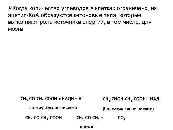  Когда количество углеводов в клетках ограничено, из ацетил-Ко. А образуются кетоновые тела, которые