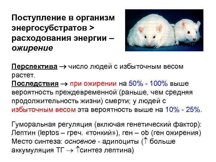 Поступление в организм энергосубстратов > расходования энергии – ожирение Перспектива число людей с избыточным