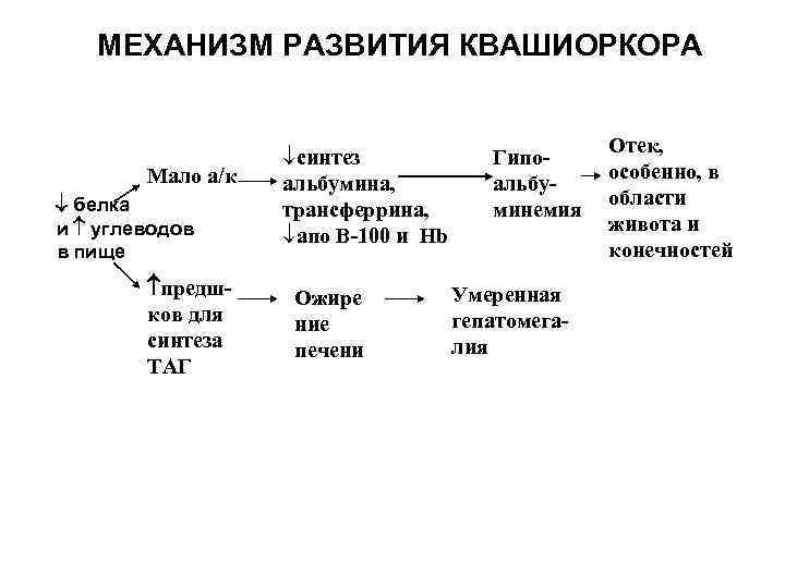 МЕХАНИЗМ РАЗВИТИЯ КВАШИОРКОРА Мало а/к белка и углеводов в пище предшков для синтеза ТАГ