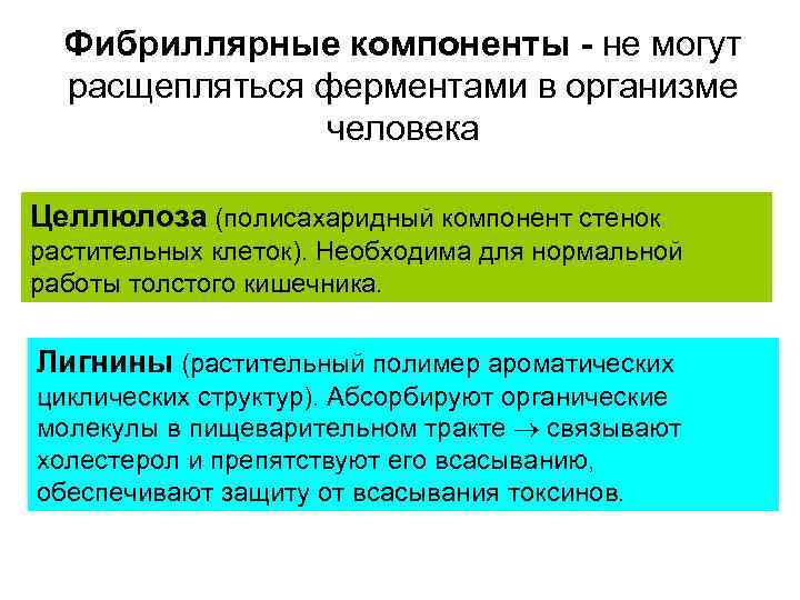 Фибриллярные компоненты - не могут расщепляться ферментами в организме человека Целлюлоза (полисахаридный компонент стенок