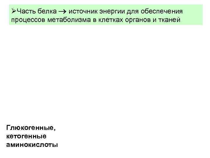  Часть белка источник энергии для обеспечения процессов метаболизма в клетках органов и тканей