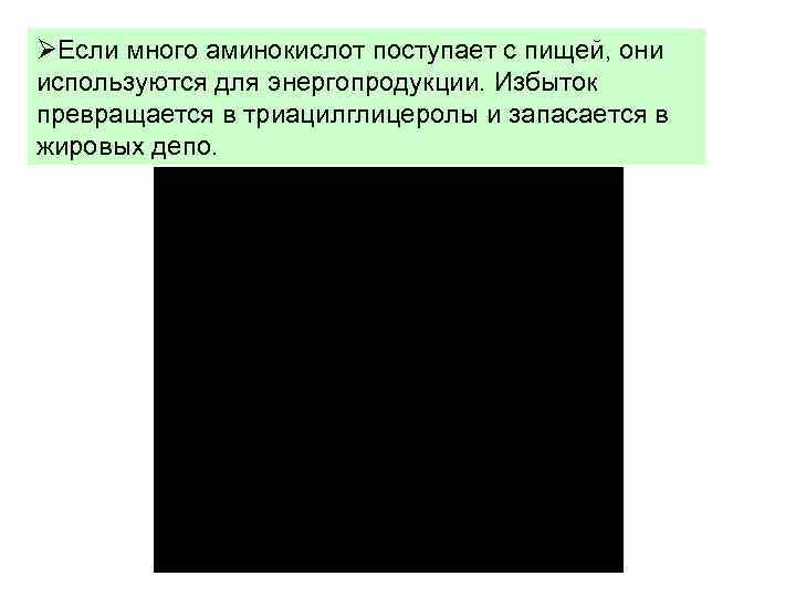 Если много аминокислот поступает с пищей, они используются для энергопродукции. Избыток превращается в
