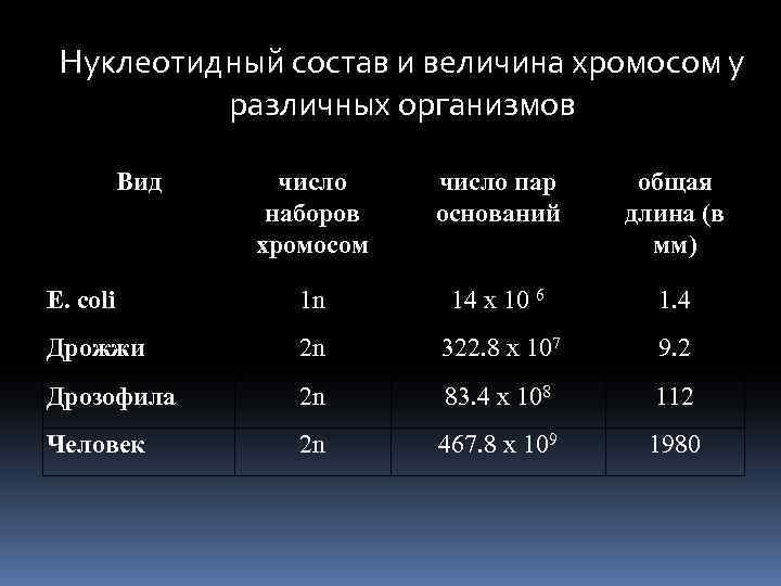 Нуклеотидный состав и величина хромосом у различных организмов Вид число наборов хромосом число пар