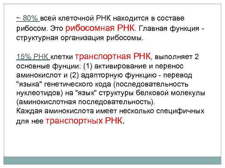 ~ 80% всей клеточной РНК находится в составе рибосом. Это рибосомная РНК. Главная функция