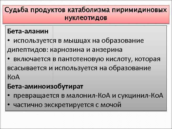 Судьба продуктов катаболизма пиримидиновых нуклеотидов Бета-аланин • используется в мышцах на образование дипептидов: карнозина