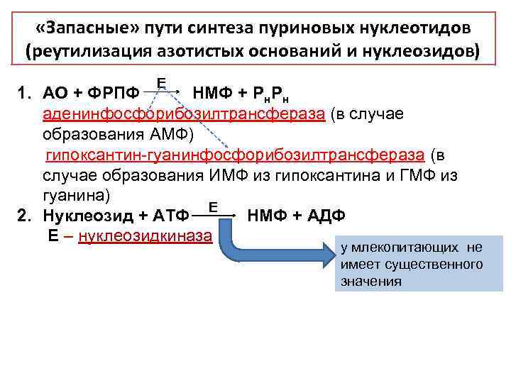  «Запасные» пути синтеза пуриновых нуклеотидов (реутилизация азотистых оснований и нуклеозидов) Е 1. АО