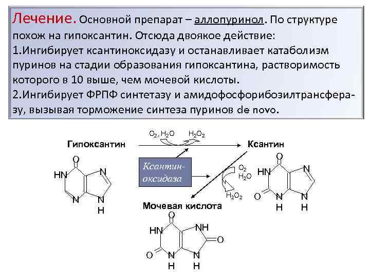 Лечение. Основной препарат – аллопуринол. По структуре похож на гипоксантин. Отсюда двоякое действие: 1.