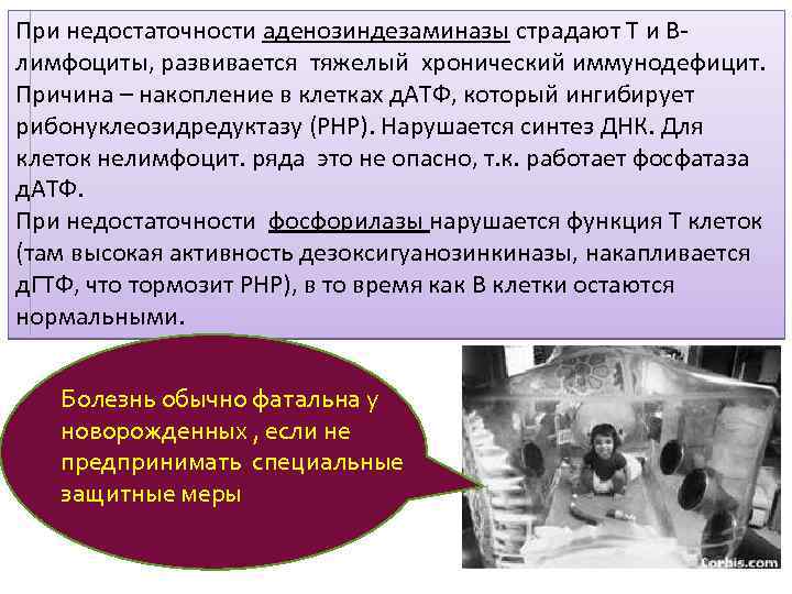 При недостаточности аденозиндезаминазы страдают T и Bлимфоциты, развивается тяжелый хронический иммунодефицит. Причина – накопление