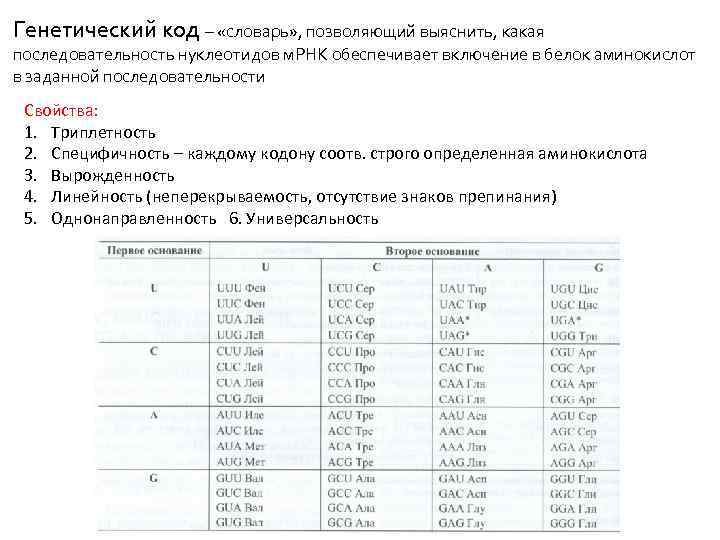 Генетический код – «словарь» , позволяющий выяснить, какая последовательность нуклеотидов м. РНК обеспечивает включение