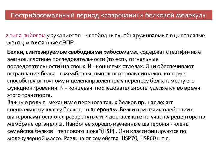 Пострибосомальный период «созревания» белковой молекулы 2 типа рибосом у эукариотов – «свободные» , обнаруживаемые