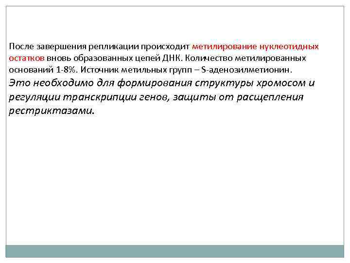 После завершения репликации происходит метилирование нуклеотидных остатков вновь образованных цепей ДНК. Количество метилированных оснований
