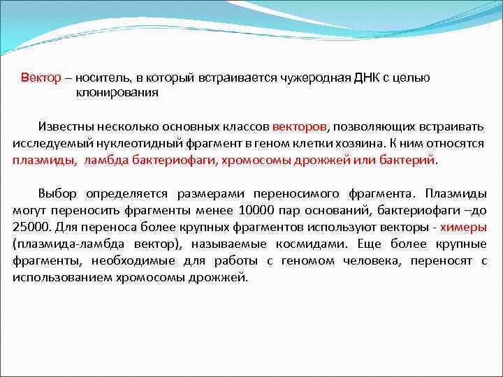 Вектор – носитель, в который встраивается чужеродная ДНК с целью клонирования Известны несколько основных