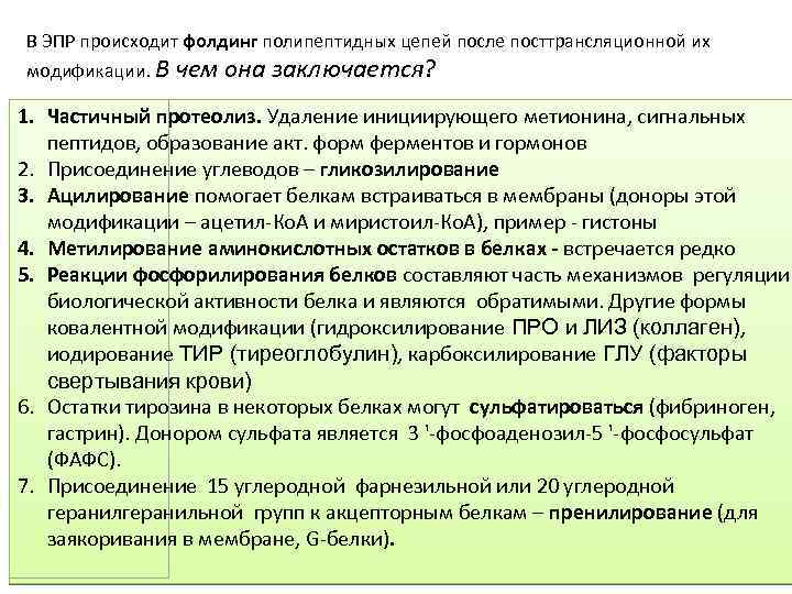 В ЭПР происходит фолдинг полипептидных цепей после посттрансляционной их модификации. В чем она заключается?