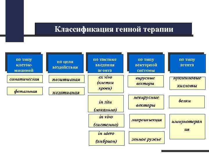 Классификация генной терапии по типу клетокмишеней по цели воздействия соматическая позитивная фетальная негативная по