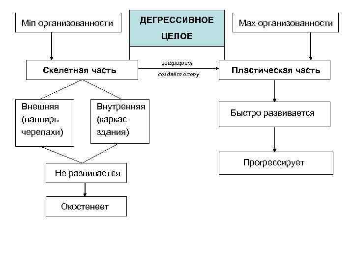 Min организованности ДЕГРЕССИВНОЕ Max организованности ЦЕЛОЕ Скелетная часть Внешняя (панцирь черепахи) Внутренняя (каркас здания)