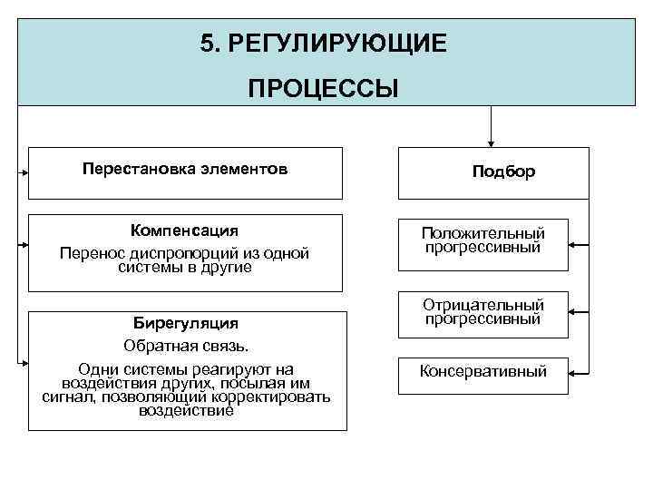 5. РЕГУЛИРУЮЩИЕ ПРОЦЕССЫ Перестановка элементов Компенсация Перенос диспропорций из одной системы в другие Бирегуляция