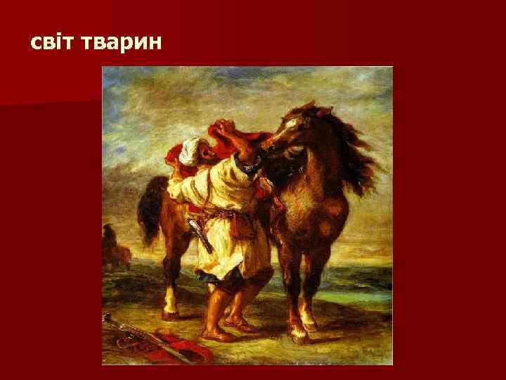 світ тварин 