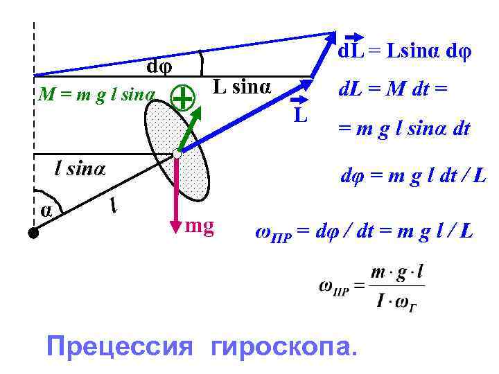 dφ M = m g l sinα d. L = Lsinα dφ L sinα