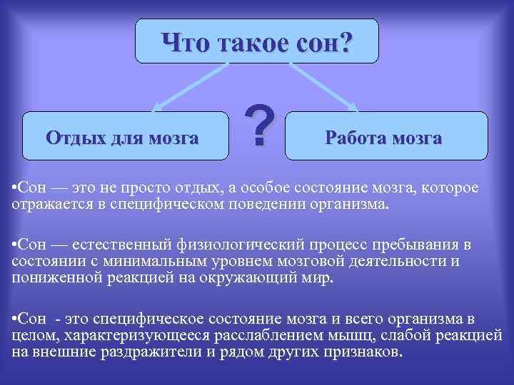 Что такое сон? Отдых для мозга ? Работа мозга • Сон — это не