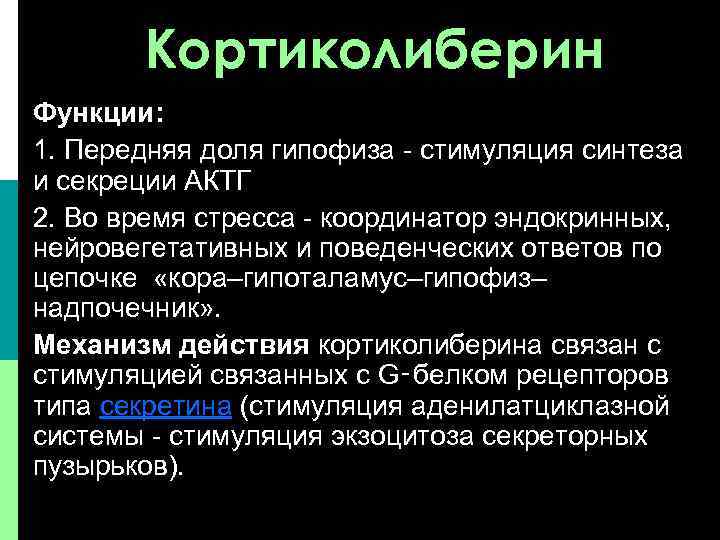 Кортиколиберин Функции: 1. Передняя доля гипофиза - стимуляция синтеза и секреции АКТГ 2. Во