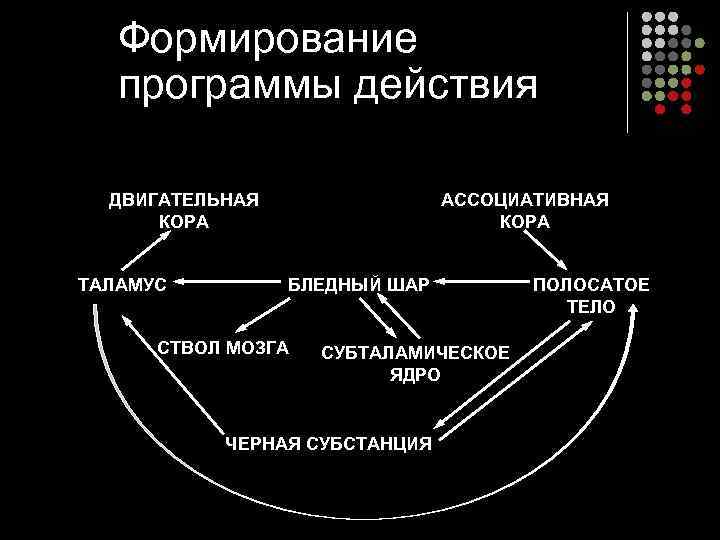 Тест на темное ядро личности