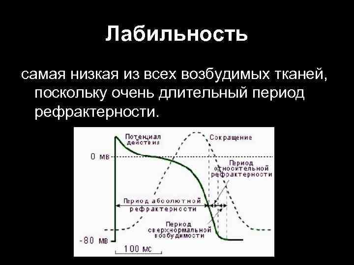 Лабильность самая низкая из всех возбудимых тканей, поскольку очень длительный период рефрактерности. 