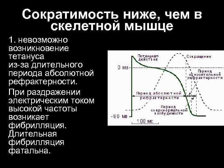 Сократимость ниже, чем в скелетной мышце 1. невозможно возникновение тетануса из за длительного периода