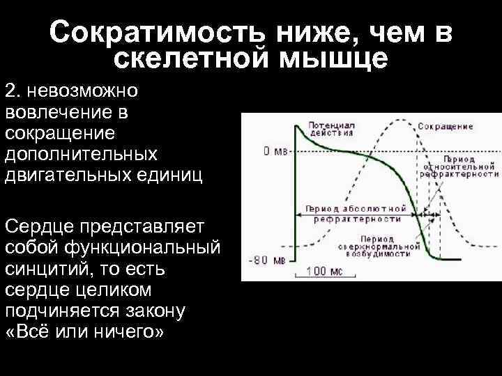 Сократимость ниже, чем в скелетной мышце 2. невозможно вовлечение в сокращение дополнительных двигательных единиц