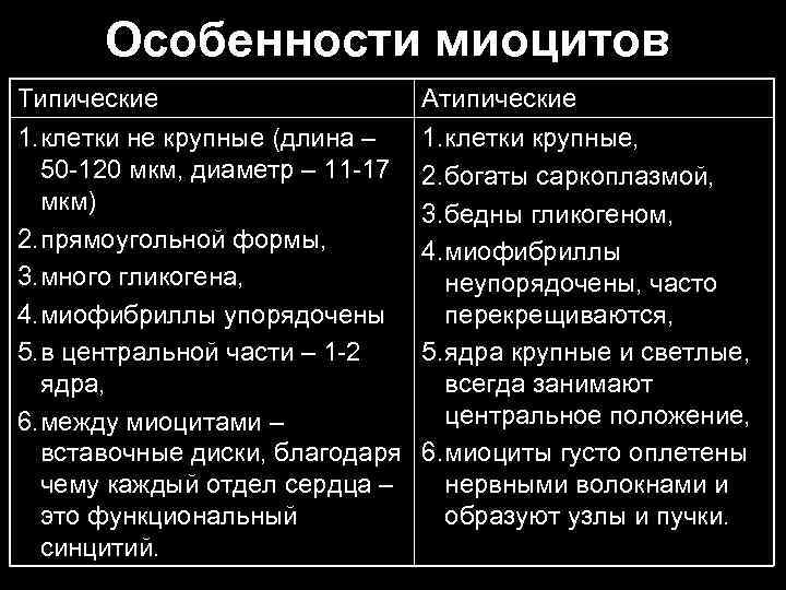 Особенности миоцитов Типические 1. клетки не крупные (длина – 50 120 мкм, диаметр –