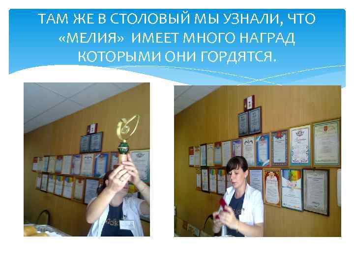 ТАМ ЖЕ В СТОЛОВЫЙ МЫ УЗНАЛИ, ЧТО «МЕЛИЯ» ИМЕЕТ МНОГО НАГРАД КОТОРЫМИ ОНИ ГОРДЯТСЯ.